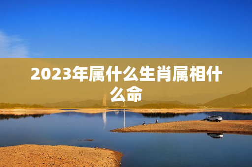 2023年属什么生肖属相什么命