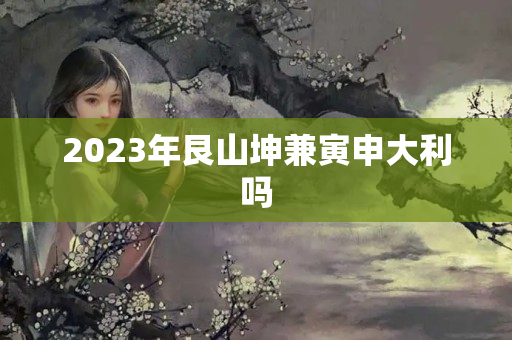 2023年艮山坤兼寅申大利吗