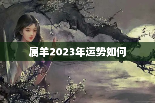 属羊2023年运势如何