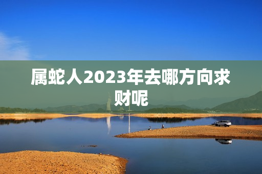 属蛇人2023年去哪方向求财呢