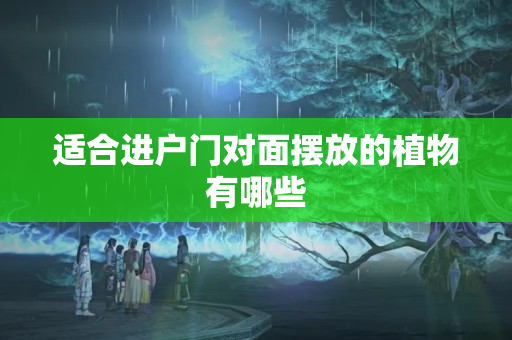 适合进户门对面摆放的植物有哪些