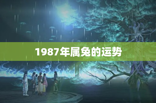 1987年属兔的运势