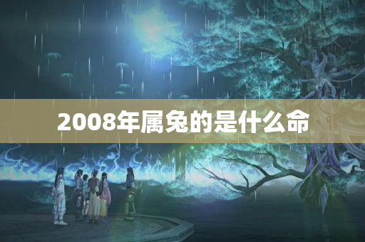 2008年属兔的是什么命