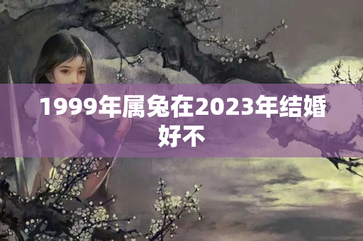 1999年属兔在2023年结婚好不