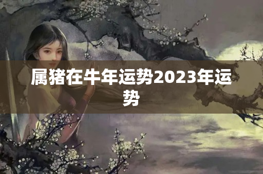 属猪在牛年运势2023年运势