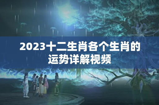 2023十二生肖各个生肖的运势详解视频