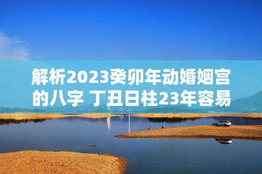 解析2023癸卯年动婚姻宫的八字 丁丑日柱23年容易结婚