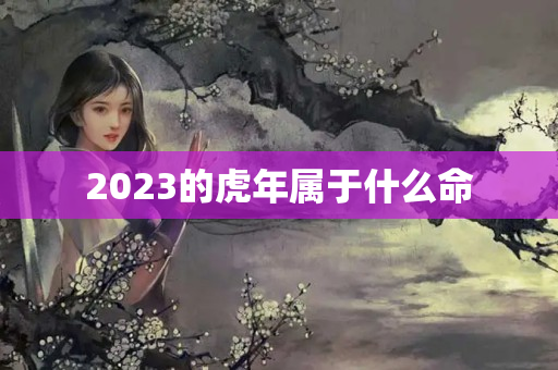 2023的虎年属于什么命