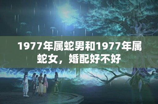 1977年属蛇男和1977年属蛇女，婚配好不好