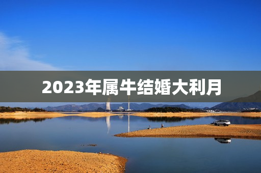 2023年属牛结婚大利月