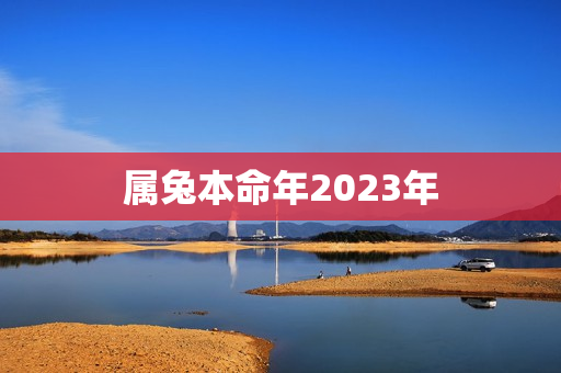 属兔本命年2023年