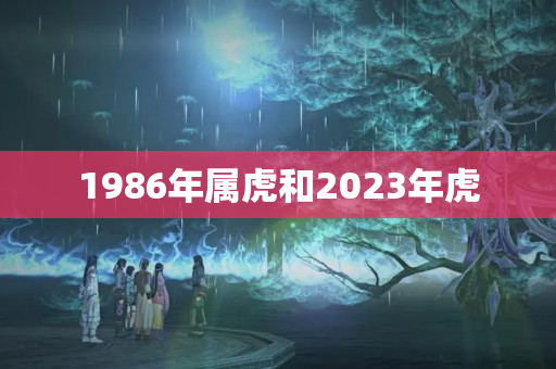 1986年属虎和2023年虎