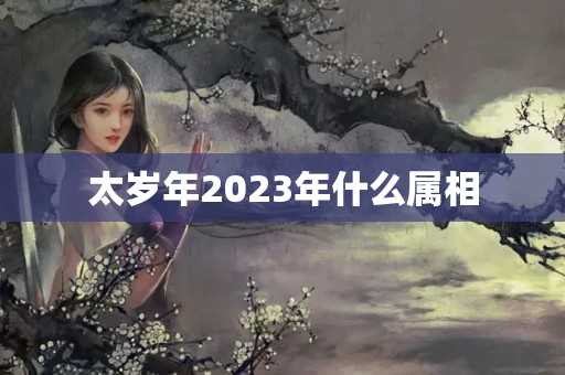 太岁年2023年什么属相