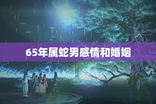 65年属蛇男感情和婚姻