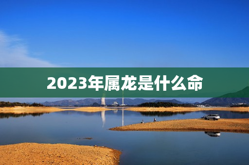 2023年属龙是什么命