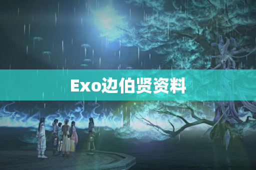 Exo边伯贤资料