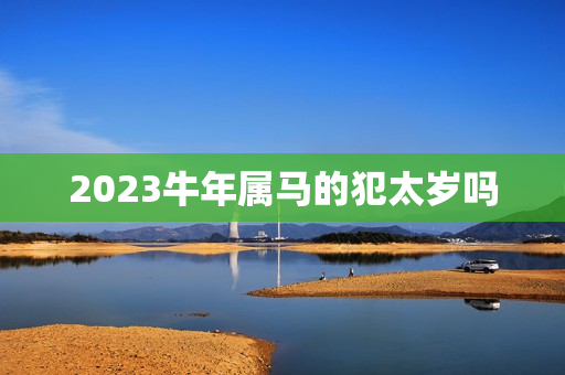 2023牛年属马的犯太岁吗