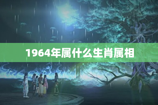 1964年属什么生肖属相