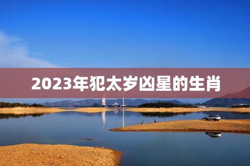 2023年犯太岁凶星的生肖