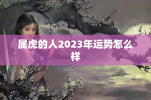 属虎的人2023年运势怎么样