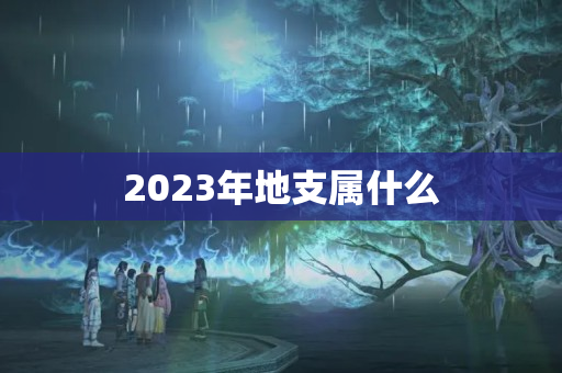 2023年地支属什么