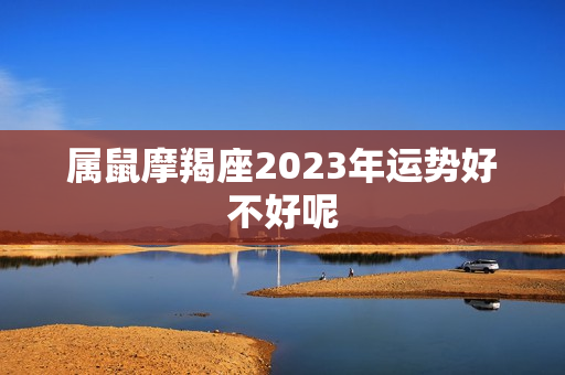 属鼠摩羯座2023年运势好不好呢