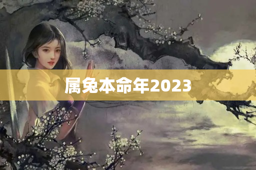 属兔本命年2023