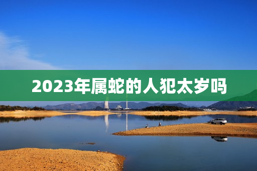 2023年属蛇的人犯太岁吗