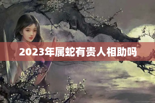 2023年属蛇有贵人相助吗