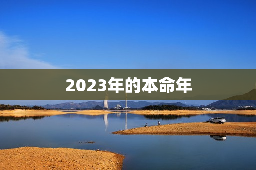 2023年的本命年