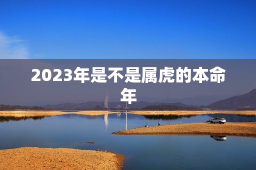 2023年是不是属虎的本命年