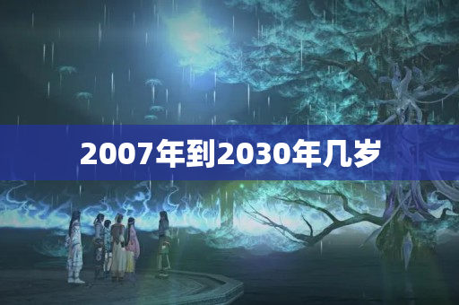 2007年到2030年几岁