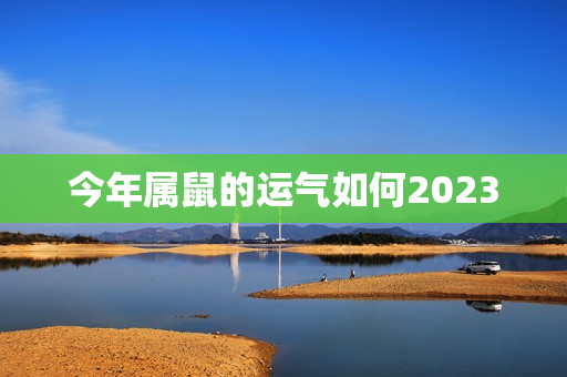 今年属鼠的运气如何2023