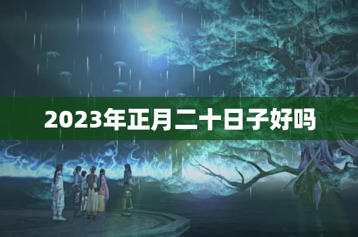 2023年正月二十日子好吗