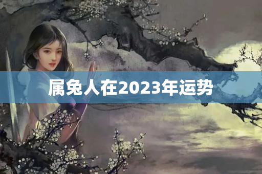 属兔人在2023年运势