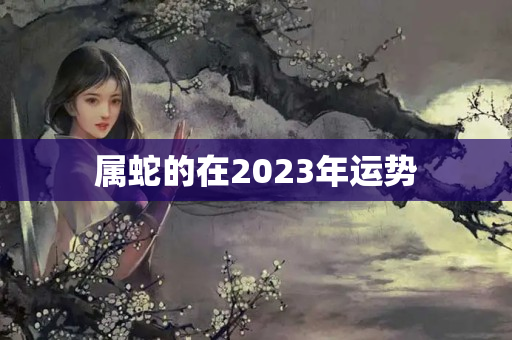 属蛇的在2023年运势