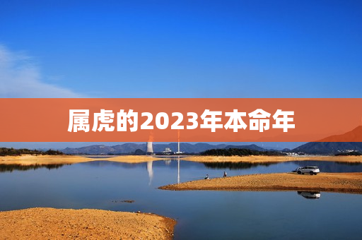 属虎的2023年本命年