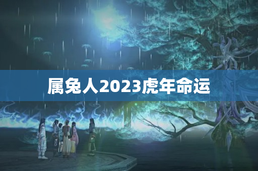 属兔人2023虎年命运