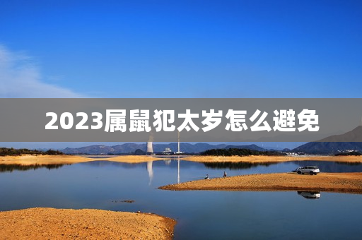 2023属鼠犯太岁怎么避免