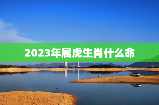 2023年属虎生肖什么命