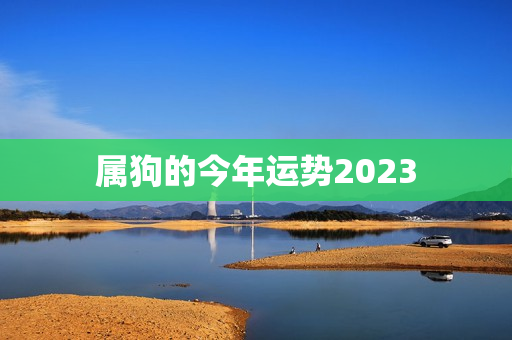 属狗的今年运势2023