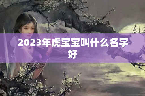 2023年虎宝宝叫什么名字好