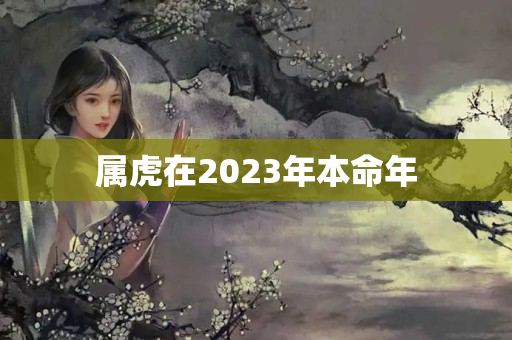 属虎在2023年本命年