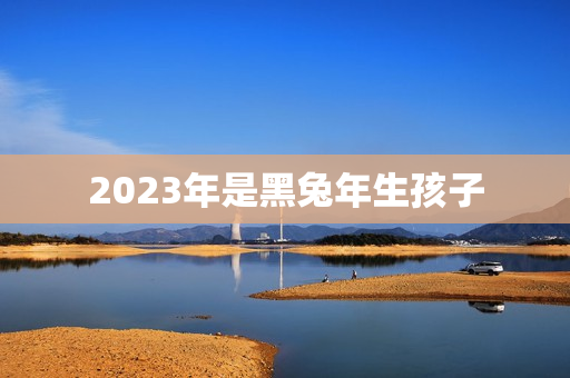 2023年是黑兔年生孩子