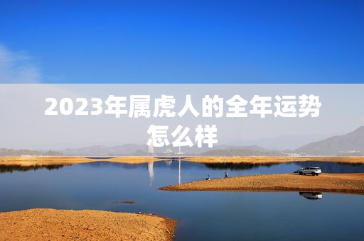 2023年属虎人的全年运势怎么样