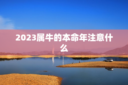 2023属牛的本命年注意什么