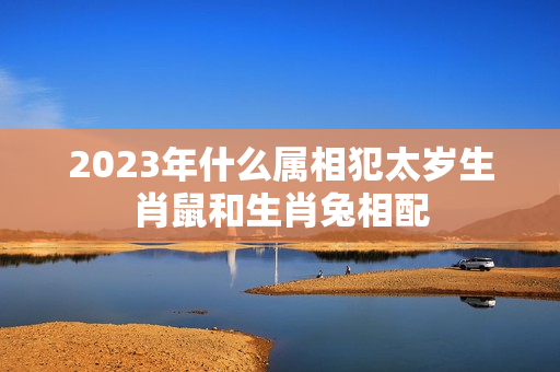 2023年什么属相犯太岁生肖鼠和生肖兔相配