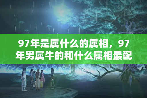 97年是属什么的属相，97年男属牛的和什么属相最配婚姻