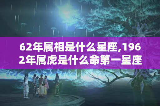 62年属相是什么星座,1962年属虎是什么命第一星座网