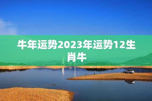 牛年运势2023年运势12生肖牛